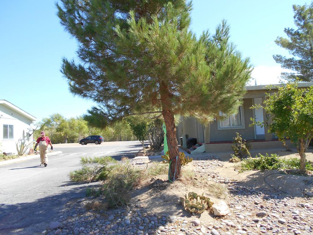 Atomic Inn Beatty Near Death Valley Екстер'єр фото